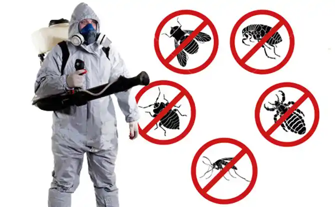 pest control Springtown
